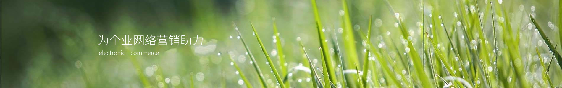 ػеƼ޹˾